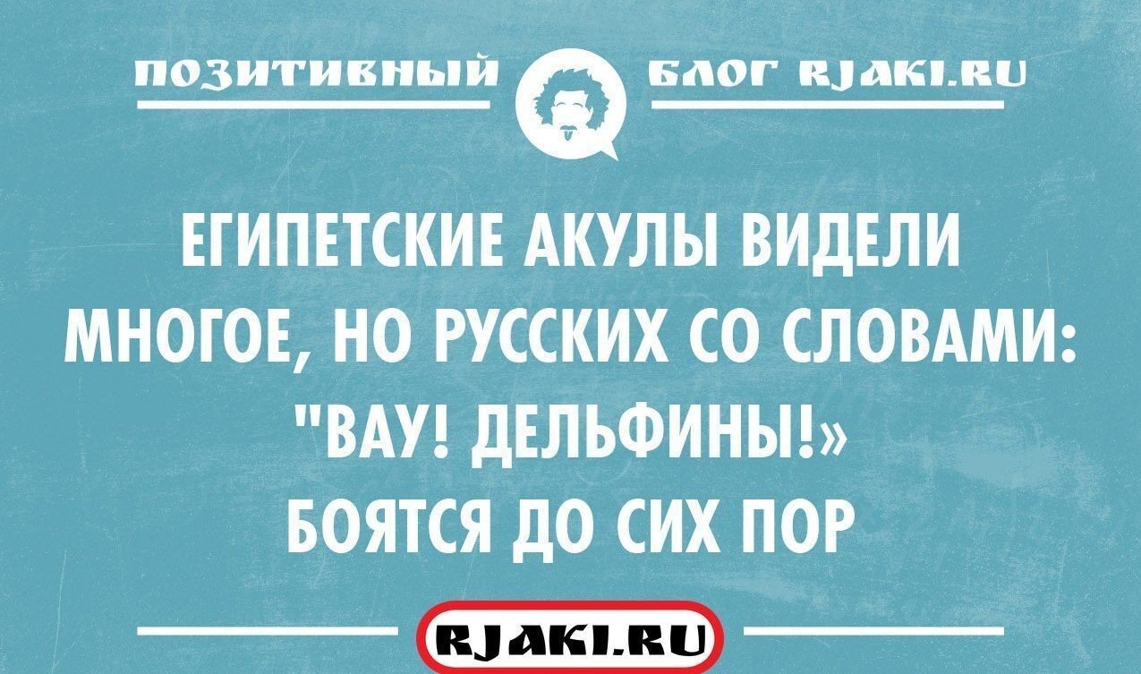 Смешные анекдоты черный юмор. Чёрный юмор шутки смешные. Чёрный юмор анекдоты. Чёрный юмор шутки анекдоты. Шутки смешные короткие черный юмор.