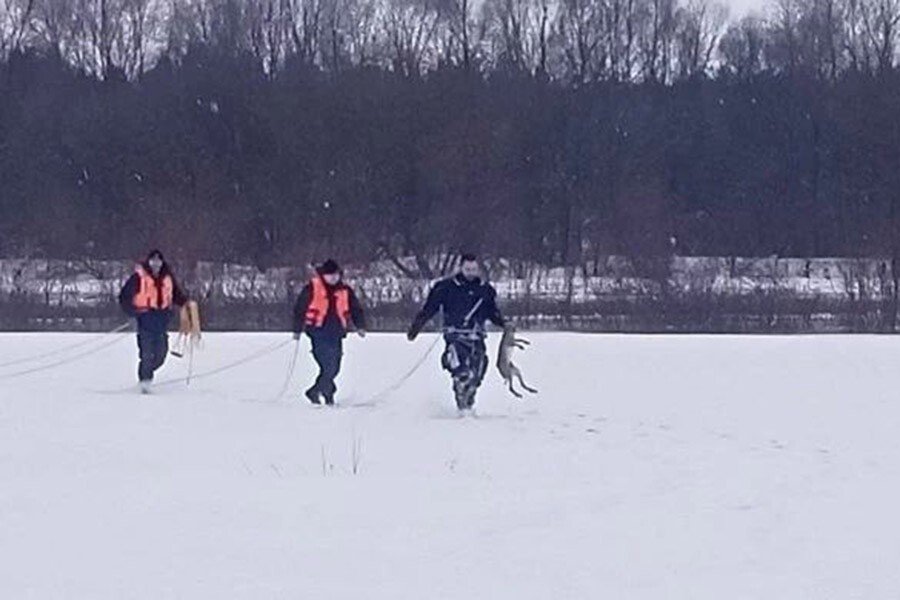 Пока не оказалось что